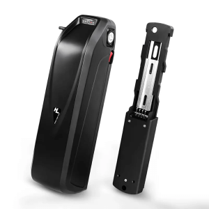 Hailong electric scooter ebike nga baterya 48V 15Ah