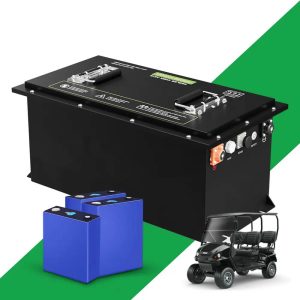 OEM ODM 48v Golf Cart LiFePO4 Baterya