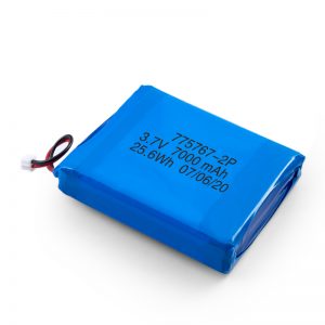 Pasadya 3.7V 2450 2600 3900 4000 4500 4700 5000 6000 9000Mah Polymer Lipo Battery